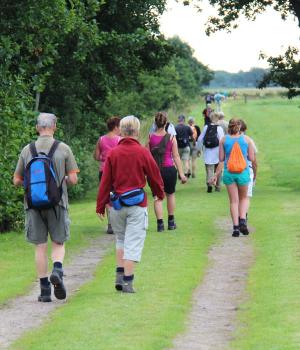 Zomerwandeltocht - i.s.m. Friesland Beweegt