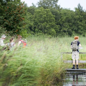 Zomerwandeltocht - i.s.m. Friesland Beweegt
