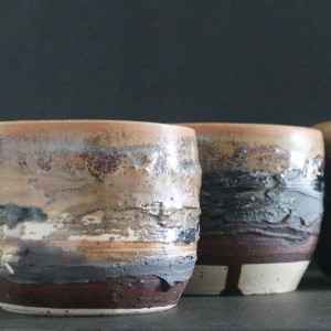 Expositie Heine Noordstra (diepdruk) en Alie Pilot (keramiek)